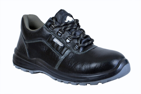 Safety shoe Model : 1024A