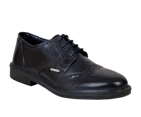 safety shoe 5009